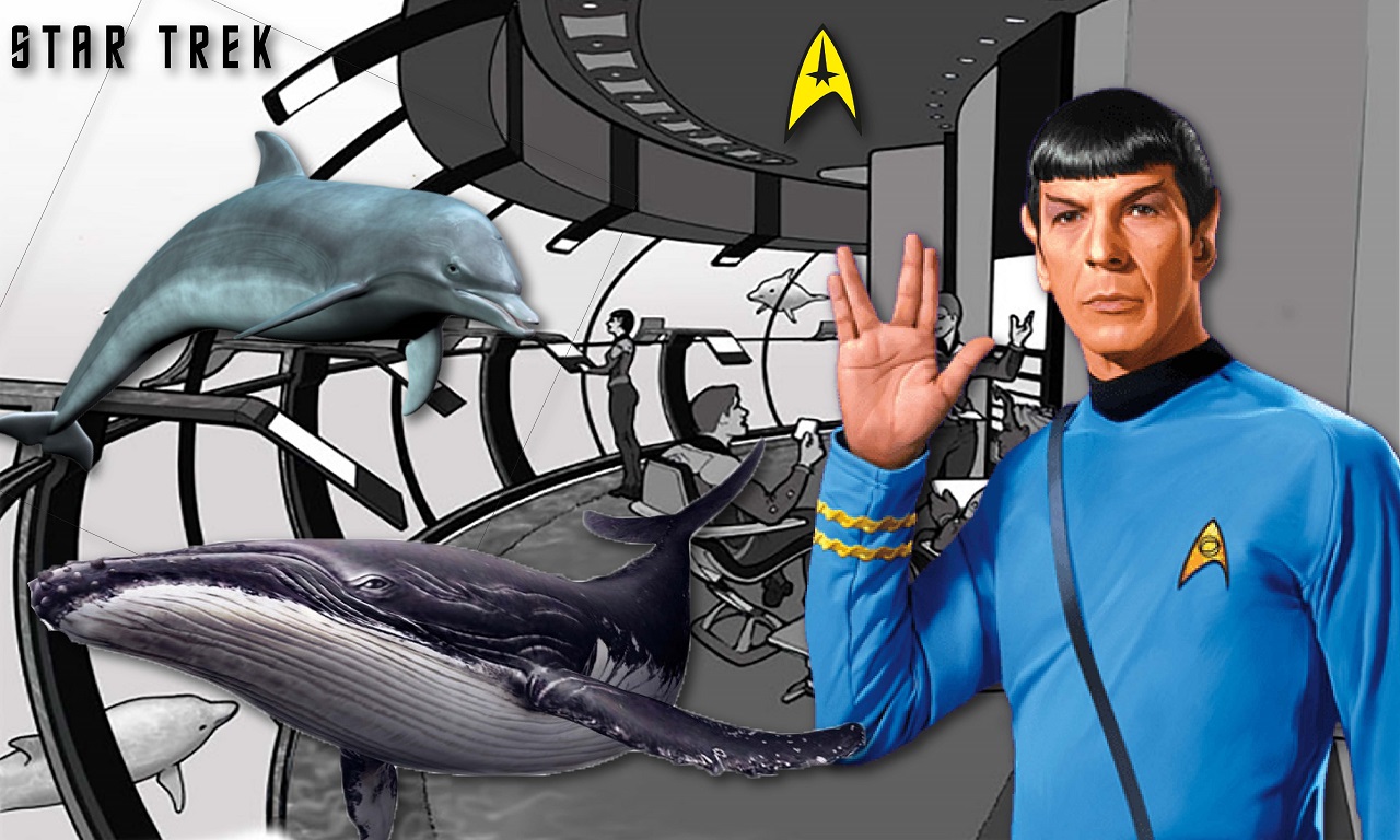 Star Trek: Dolphin and Whale as Crew Members were Supposed to Join the Force in TNG’s Enterprise