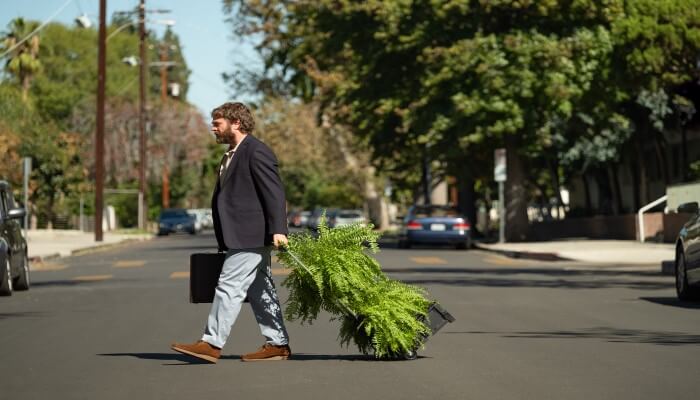 Between-Two-Ferns-The-Movie-in-New Zealand-on-netflix