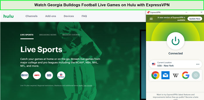 Watch-Georgia-Bulldogs-Football-Live-Games-in-Netherlands-on-Hulu-with-ExpressVPN