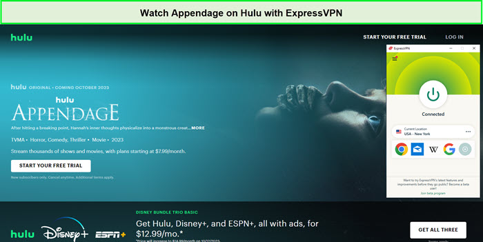 Watch-Appendage-in-UAE-on-Hulu-with-ExpressVPN