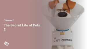 How to Watch The Secret Life of Pets 2 in Netherlands on Paramount Plus
